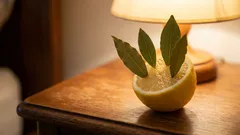 Leg een citroen met laurierblaadjes in je kamer. De volgende ochtend zul je jezelf dankbaar zijn.