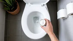 Zout voor het toilet: redenen voor het gebruik ervan en hoe vaak het moet worden gebruikt.