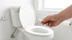 Knoflook door het toilet spoelen: waarom is het nodig en waarom wordt het aanbevolen?