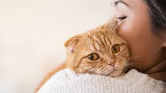 8 dingen die een kat zijn baasje alleen uit grote liefde vergeeft